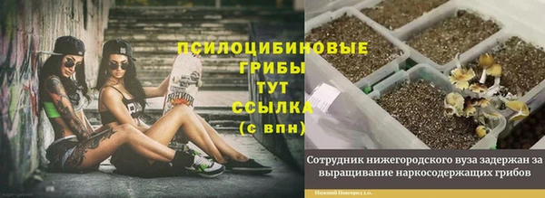 бошки Абинск
