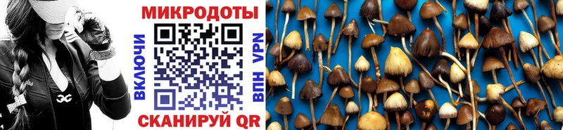 что такое наркотик  Полтавская  Галлюциногенные грибы мухоморы 